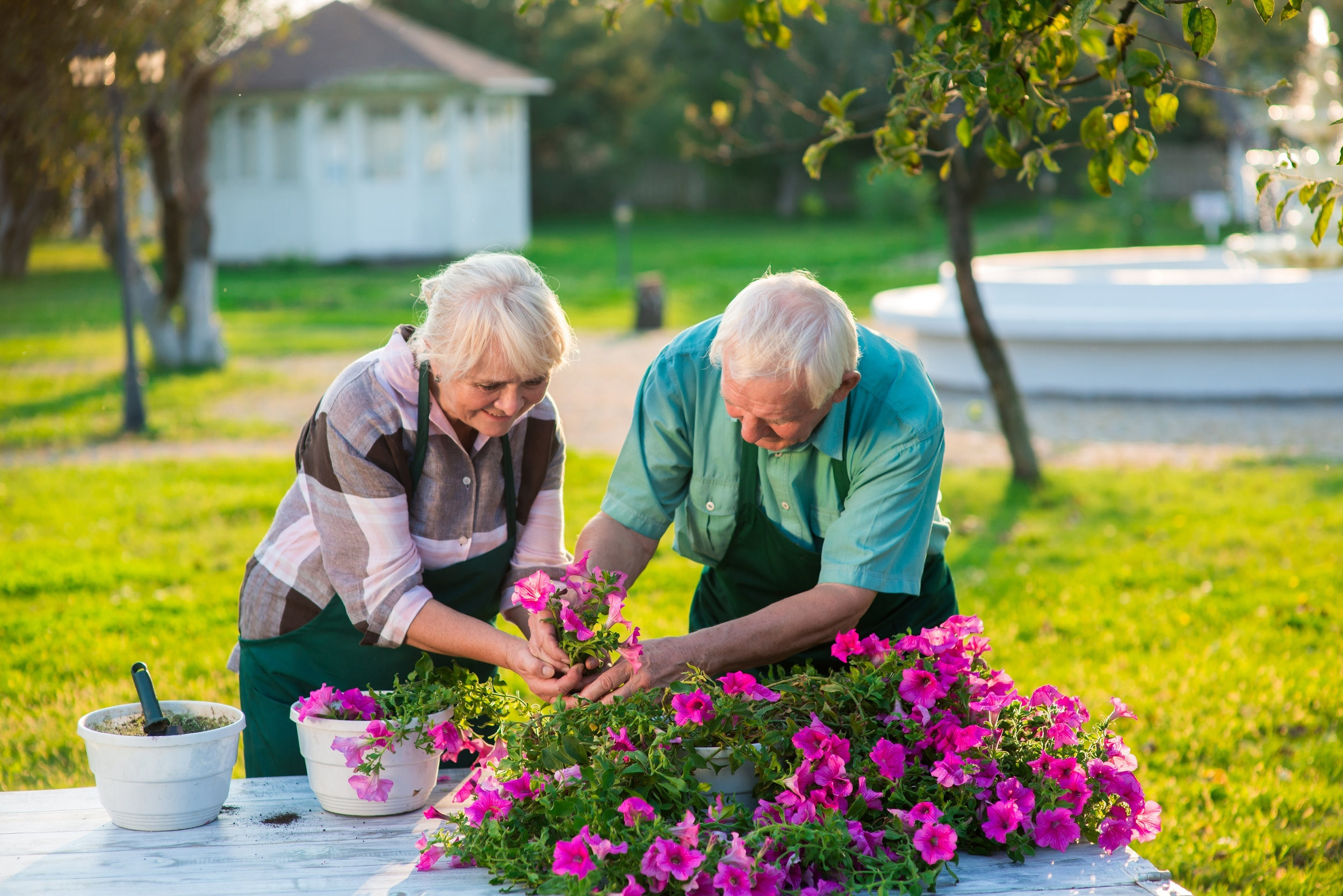 Záhradníčenie pre seniorov: záhradníčenie vo dvojici